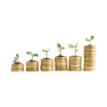 manifestar dinero
